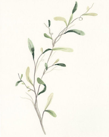 Spindle Sprig IV White Modern Wood Framed Art Print with Double Matting by Vess, June Erica