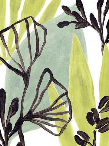 Tropical Collage II Black Ornate Wood Framed Art Print with Double Matting by Vess, June Erica