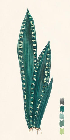 Snake Plants III Black Ornate Wood Framed Art Print with Double Matting by Wang, Melissa