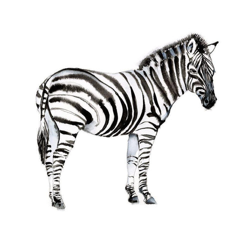 Standing Zebra I White Modern Wood Framed Art Print by Goldberger, Jennifer