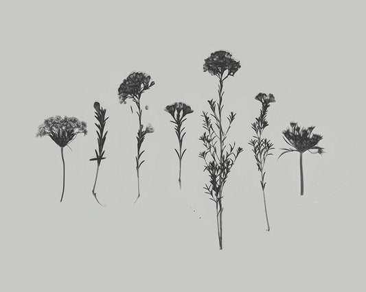 Image Only