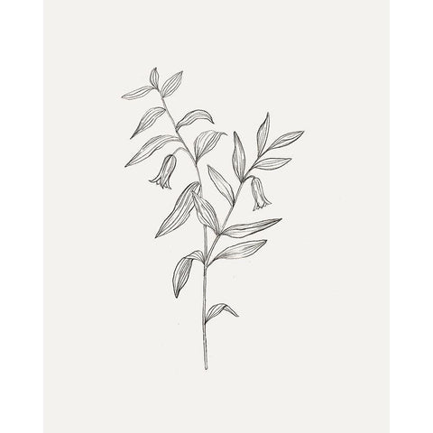 Wild Foliage Sketch IV Black Modern Wood Framed Art Print with Double Matting by Borges, Victoria