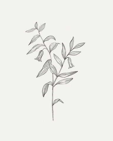 Wild Foliage Sketch IV White Modern Wood Framed Art Print with Double Matting by Borges, Victoria