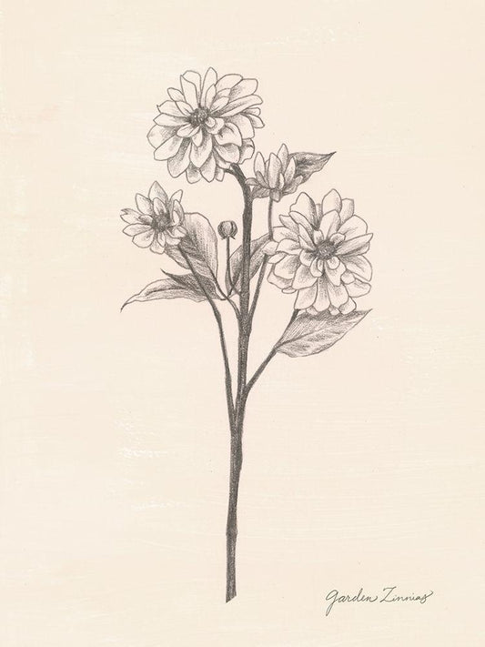 Image Only