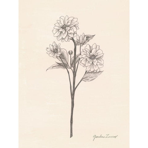 Garden Zinnias I White Modern Wood Framed Art Print by Popp, Grace