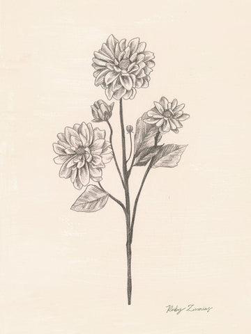 Garden Zinnias II Black Ornate Wood Framed Art Print with Double Matting by Popp, Grace