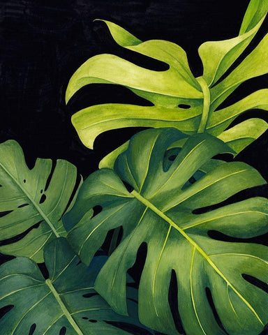 Night Monsteras I White Modern Wood Framed Art Print with Double Matting by Popp, Grace