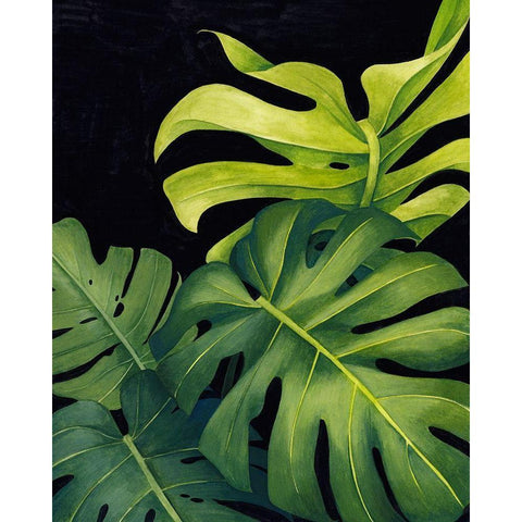 Night Monsteras I Black Modern Wood Framed Art Print with Double Matting by Popp, Grace