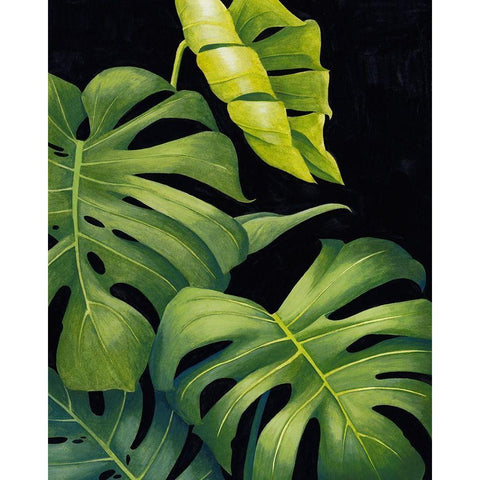 Night Monsteras II White Modern Wood Framed Art Print by Popp, Grace