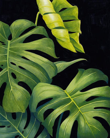 Night Monsteras II White Modern Wood Framed Art Print with Double Matting by Popp, Grace