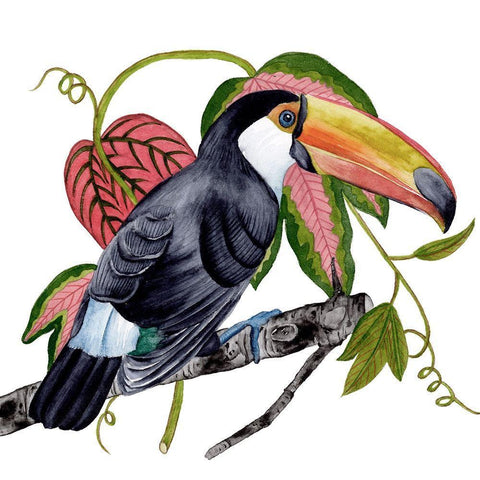 Toco Toucan II Black Ornate Wood Framed Art Print with Double Matting by Wang, Melissa