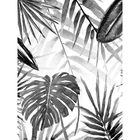 Jungle Walk II Black Modern Wood Framed Art Print with Double Matting by Warren, Annie