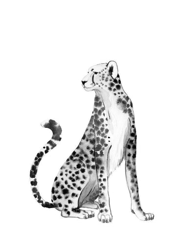 Chrome Cheetah II White Modern Wood Framed Art Print with Double Matting by Popp, Grace