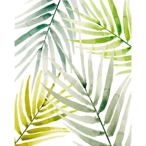 Shady Palm I White Modern Wood Framed Art Print by Warren, Annie