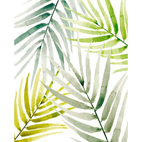 Shady Palm I Black Modern Wood Framed Art Print with Double Matting by Warren, Annie