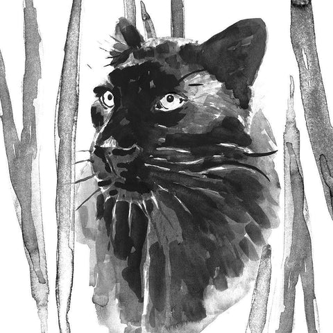 Still Cat I Black Ornate Wood Framed Art Print with Double Matting by Warren, Annie