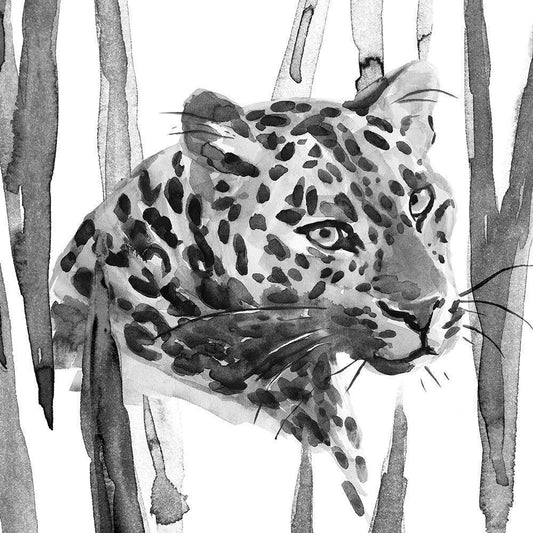 Image Only