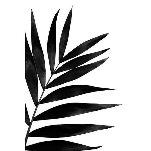 Black Palms I Black Modern Wood Framed Art Print with Double Matting by Stramel, Renee W.