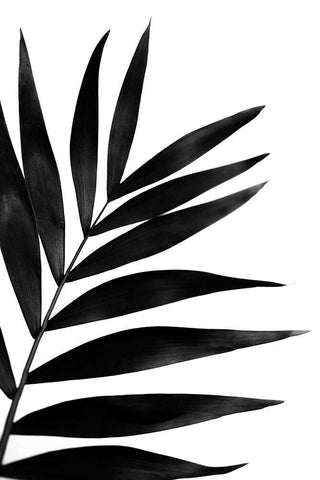 Black Palms I Black Ornate Wood Framed Art Print with Double Matting by Stramel, Renee W.