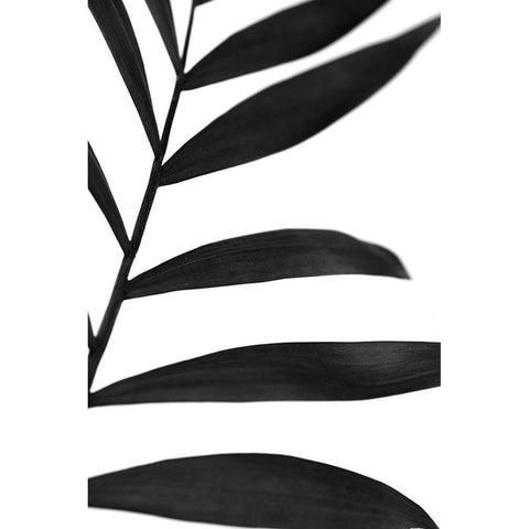 Black Palms V White Modern Wood Framed Art Print by Stramel, Renee W.