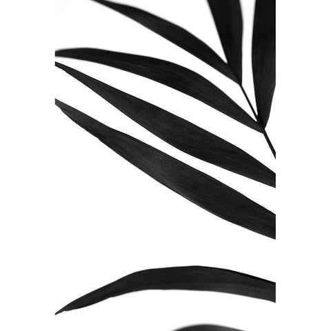 Black Palms VI Black Modern Wood Framed Art Print by Stramel, Renee W.