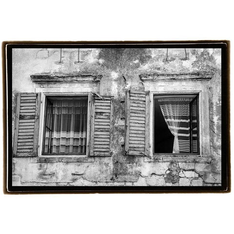 Catching the Breeze Gold Ornate Wood Framed Art Print with Double Matting by DeNardo, Laura