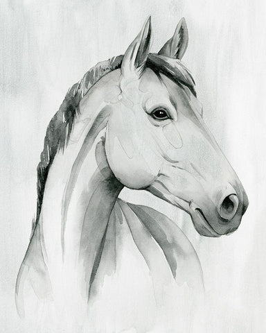 Silver Gelding I White Modern Wood Framed Art Print with Double Matting by Popp, Grace