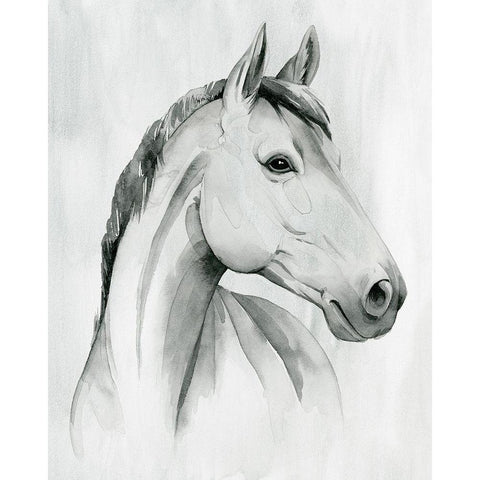 Silver Gelding I Black Modern Wood Framed Art Print by Popp, Grace
