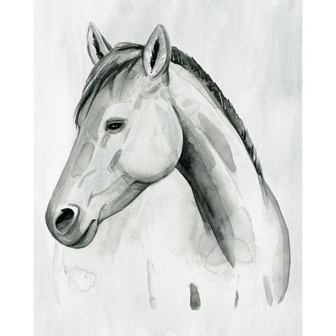 Silver Gelding II Black Modern Wood Framed Art Print by Popp, Grace