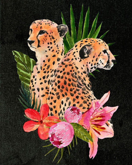 Image Only