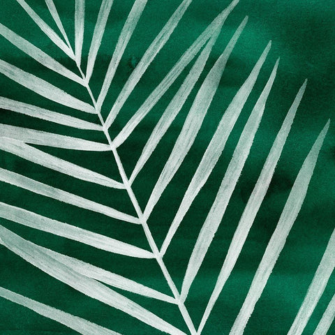 Velvet Palm III Black Modern Wood Framed Art Print with Double Matting by Popp, Grace