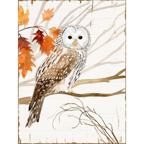 Harvest Owl I White Modern Wood Framed Art Print by Borges, Victoria