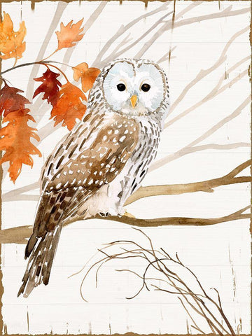 Harvest Owl I White Modern Wood Framed Art Print with Double Matting by Borges, Victoria