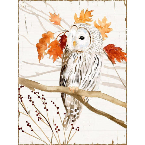 Harvest Owl II Black Modern Wood Framed Art Print with Double Matting by Borges, Victoria