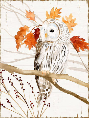 Harvest Owl II White Modern Wood Framed Art Print with Double Matting by Borges, Victoria