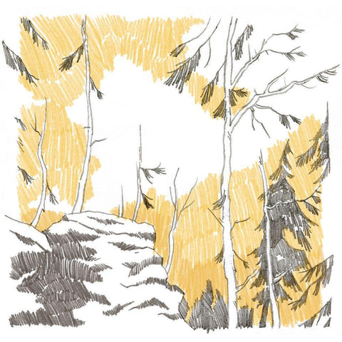 Northwood III Black Modern Wood Framed Art Print by Green, Jacob