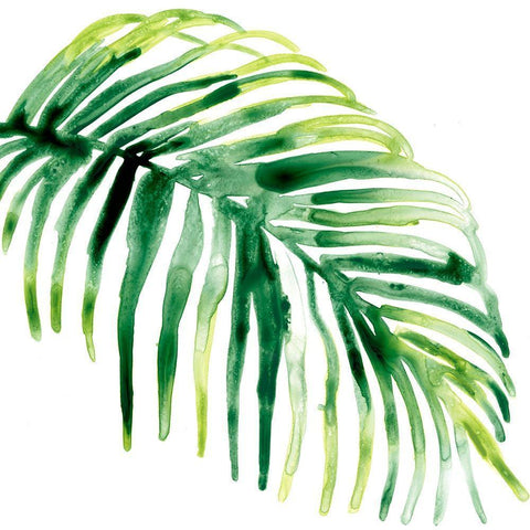 Tropical Jewel V Black Ornate Wood Framed Art Print with Double Matting by Vess, June Erica