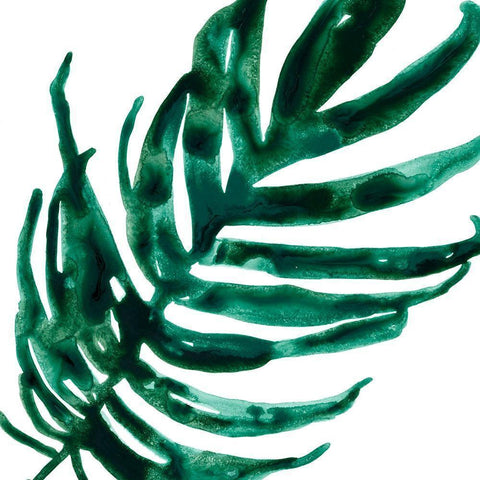 Tropical Jewel VI Black Modern Wood Framed Art Print with Double Matting by Vess, June Erica