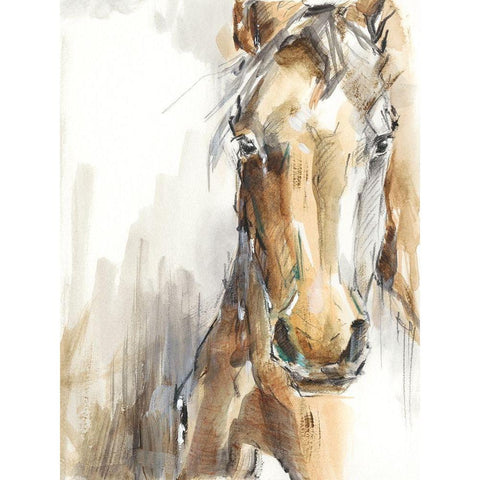 Gift Horse I White Modern Wood Framed Art Print by Harper, Ethan