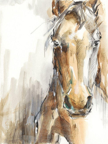 Gift Horse I White Modern Wood Framed Art Print with Double Matting by Harper, Ethan