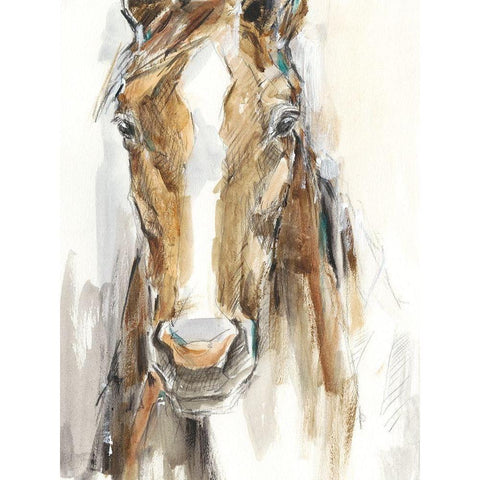 Gift Horse II Gold Ornate Wood Framed Art Print with Double Matting by Harper, Ethan