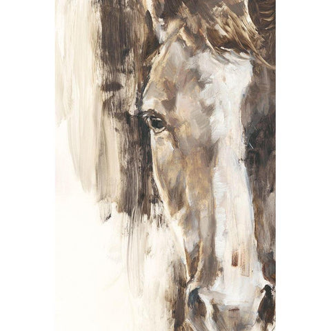 Cropped Equine Study I Black Modern Wood Framed Art Print with Double Matting by Harper, Ethan