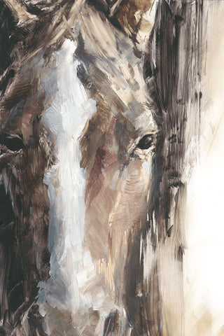 Cropped Equine Study II White Modern Wood Framed Art Print with Double Matting by Harper, Ethan
