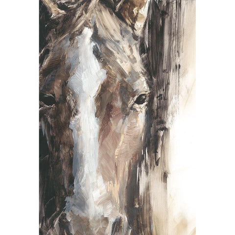 Cropped Equine Study II Black Modern Wood Framed Art Print with Double Matting by Harper, Ethan