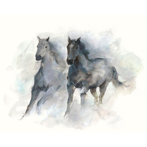 Run Free II Black Modern Wood Framed Art Print with Double Matting by Harper, Ethan