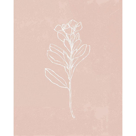 Blush Bloom I Black Modern Wood Framed Art Print with Double Matting by Warren, Annie