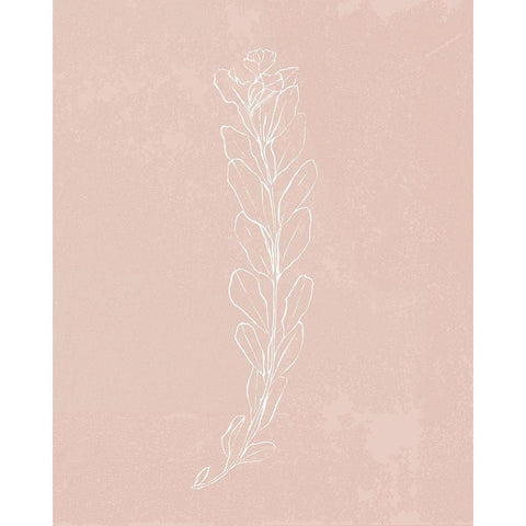 Blush Bloom II Black Modern Wood Framed Art Print with Double Matting by Warren, Annie