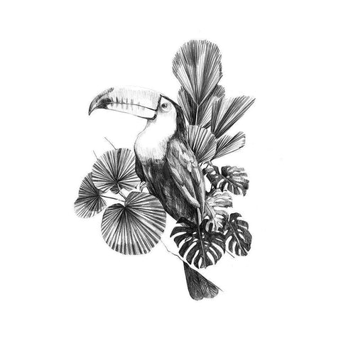 Toucan Toile I Gold Ornate Wood Framed Art Print with Double Matting by Scarvey, Emma