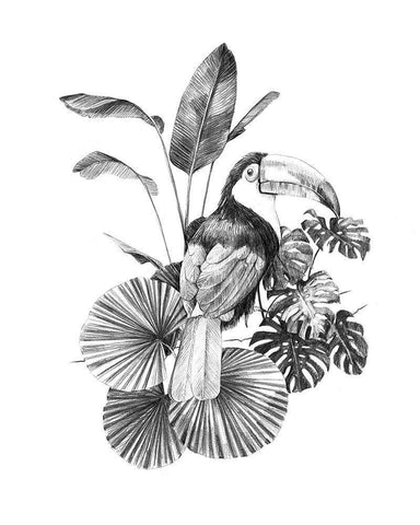 Toucan Toile II Black Ornate Wood Framed Art Print with Double Matting by Scarvey, Emma