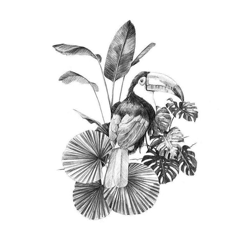 Toucan Toile II Black Modern Wood Framed Art Print by Scarvey, Emma